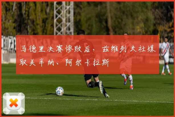 马德里决赛惨败后，兹维列夫社媒取关辛纳、阿尔卡拉斯